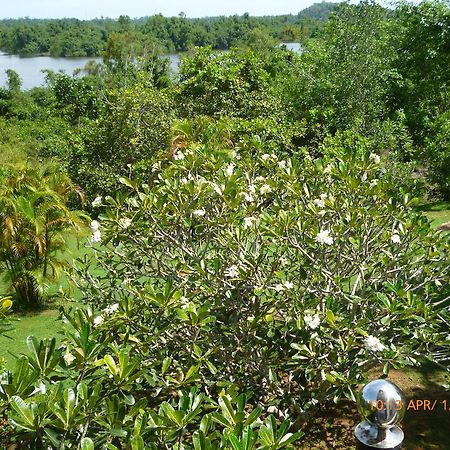 Sobaco Nature Resort 벤토타 외부 사진