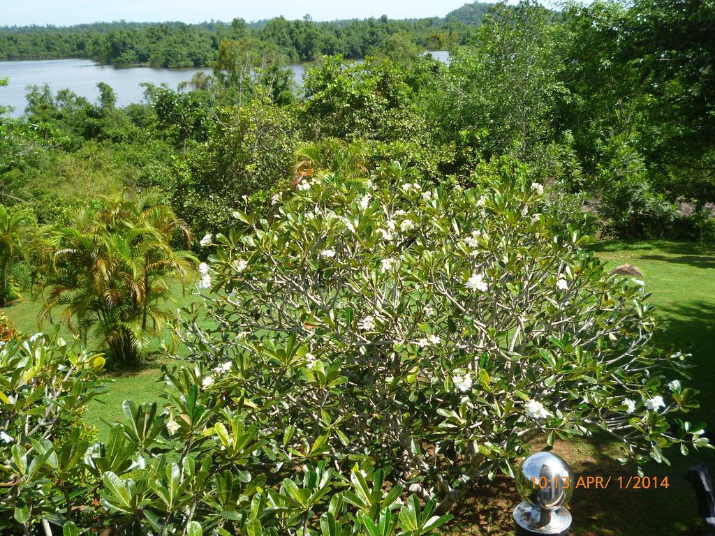 Sobaco Nature Resort 벤토타 외부 사진