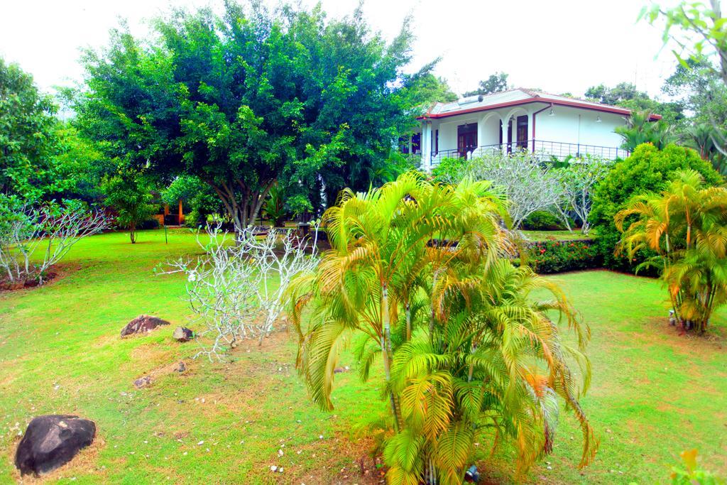 Sobaco Nature Resort 벤토타 외부 사진