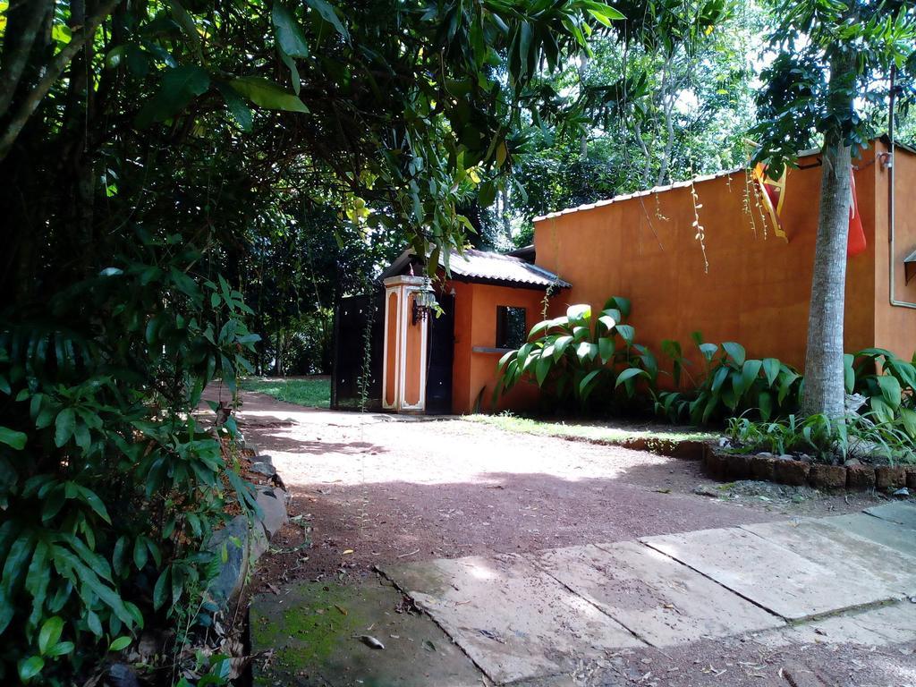 Sobaco Nature Resort 벤토타 외부 사진