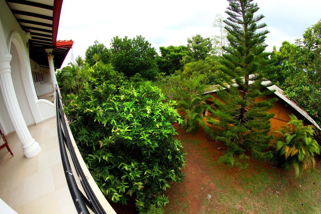 Sobaco Nature Resort 벤토타 외부 사진