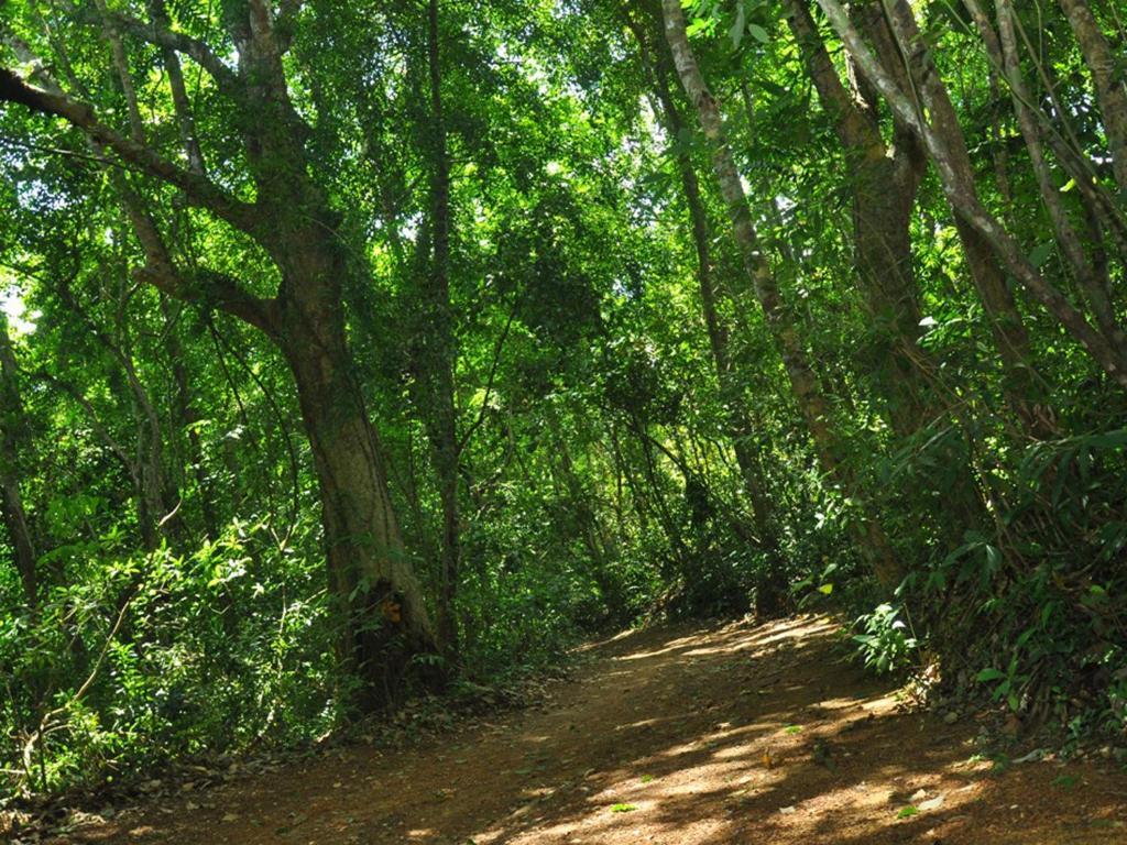 Sobaco Nature Resort 벤토타 외부 사진